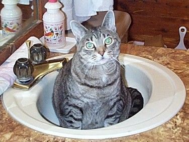 [3-Carly in the sink]