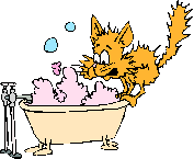 [Cat and bathtub--Sandtracker]