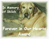 [Our Angel Dog, Shiloh]