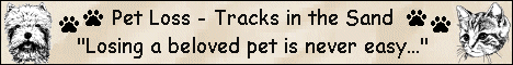 Banner for Pet Loss - Tracks in the Sand