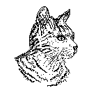 Cat Graphic