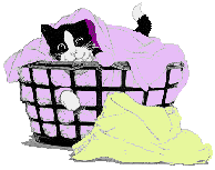 [Cat in clothes basket]