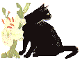 [Black cat and flowers from CatStuff]
