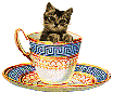 [Cat in a teacup]