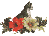 [Cat with flowers from CatStuff]
