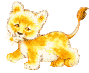 [Lion kitty]