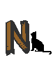 Cat Letter N