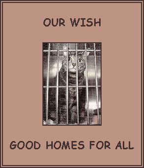 [We pray for a good home for each and every homeless furbaby!]